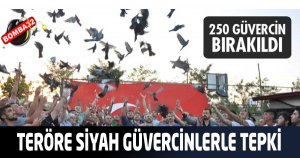 TERÖRE SİYAH GÜVERCİNLERLE TEPKİ GÖSTERDİLER