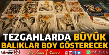 Tezgahlarda büyük balıklar boy gösterecek 