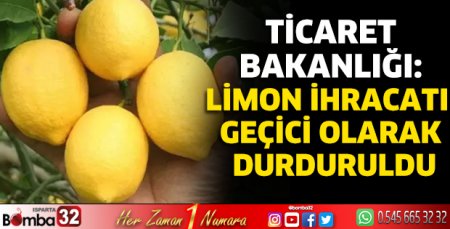 Ticaret Bakanlığı: Limon ihracatı geçici olarak durduruldu