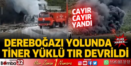 Tiner yüklü TIR devrildi