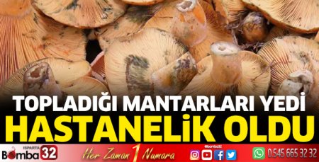 Topladığı mantarı yedi, hastanelik oldu