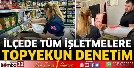 Topyekun denetim