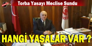TORBA YASAYI MECLİSE SUNDU