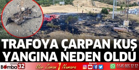 Trafoya çarpan kuş yangına neden oldu