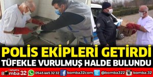 Tüfekle vurulan yaralı atmaca tedaviye alındı