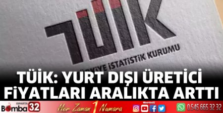 TÜİK: Yurt dışı üretici fiyatları Aralık'ta arttı