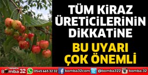 Tüm kiraz üreticilerinin dikkatine