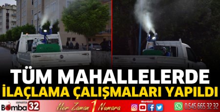 Tüm mahallelerde ilaçlama çalışmaları yapıldı