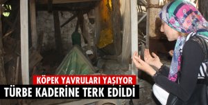 TÜRBE KADERİNE TERK EDİLDİ