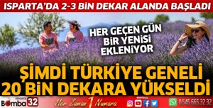 Türkiye genelinde 20 bin dekar alanda lavanta üretiliyor