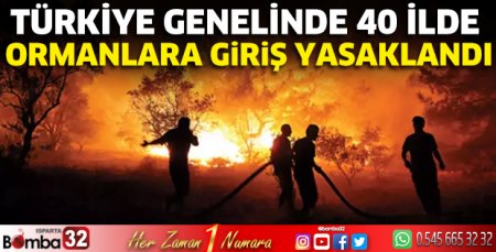 Türkiye genelinde 40 ilde ormanlara giriş yasaklandı