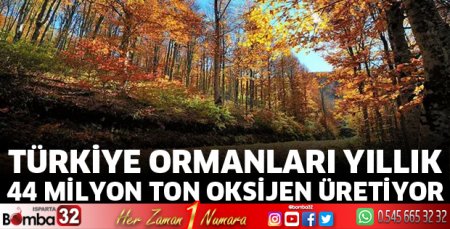 Türkiye ormanları yıllık 44 milyon ton oksijen üretiyor
