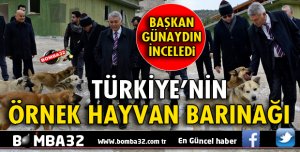 TÜRKİYE’NİN ÖRNEK HAYVAN BARINAĞI OLACAK