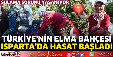 Türkiye'nin elma bahçesinde hasat başladı
