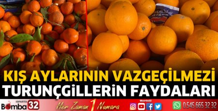 Turunçgillerin faydaları