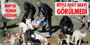 UÇMAN HER YERDE! 