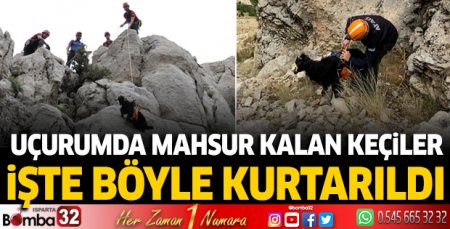 uçurumda mahsur kalan keçiler işte böyle kurtarıldı