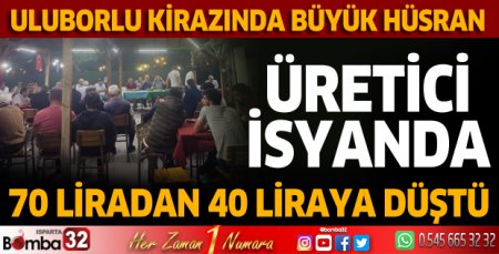 Uluborlu kirazında büyük hüsran