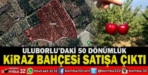ULUBORLU’DA KİRAZ BAHÇESİ SATILIĞA ÇIKIYOR 