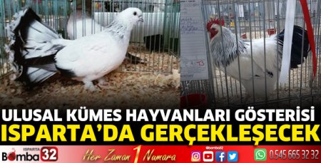 Ulusal Kümes Hayvanları Gösterisi Isparta’da gerçekleşecek