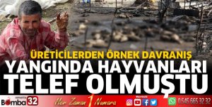 Üreticilerden örnek davranış
