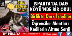 ÜŞÜYEN KEDİLERİ SINIFLARINDA MİSAFİR ETTİLER