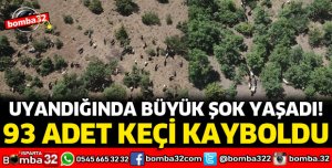 UYKUYA DALDI, 93 ADET KEÇİSİ KAYBOLDU