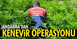 UYUŞTURUCUYA BÜYÜK DARBE! 