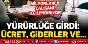 Uzaktan çalışma yönetmeliği Resmi Gazete'de yayımlandı