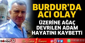 Üzerine ağaç düşen talihsiz adam hayatını kaybetti