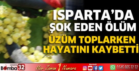 Üzüm toplarken hayatını kaybetti