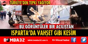 VAHŞET GİBİ KESİME TEPKİ YAĞIYOR