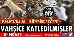 VAHŞİCE KATLEDİLDİLER