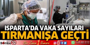 Vaka sayıları tırmanışa geçti