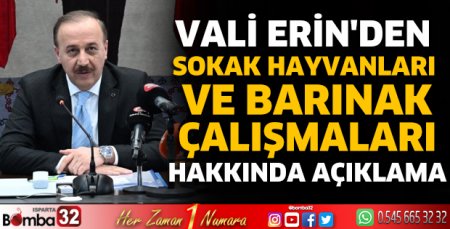 Vali Erin'den sokak hayvanları açıklaması