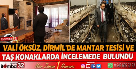Vali Öksüz, Dirmil'de  incelemelerde bulundu