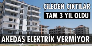 VATANDAŞ ÇILDIRDI!