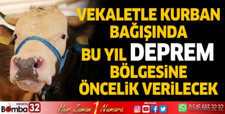 Vekaletle kurbanda, yurt içinin daha çok tercih edileceğini düşünüyorum