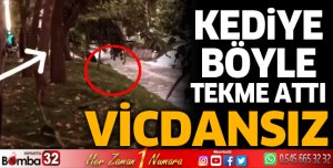 Vicdansız