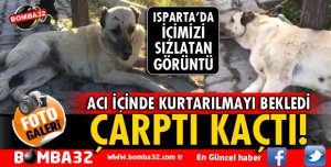 VİCDANSIZ SÜRÜCÜ ÇARPTI KAÇTI