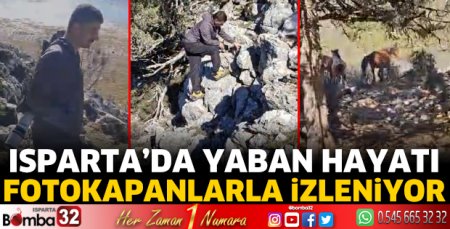Yaban hayatı fotokapanlarla izleniyor