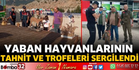 Yaban hayvanlarının tahnit ve trofeleri sergilendi