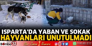 Yaban ve sokak hayvanları unutulmadı