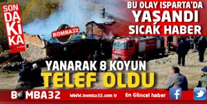 YANARAK 8 KOYUN TELEF OLDU