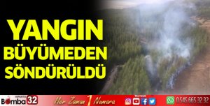 Yangın büyümeden söndürüldü