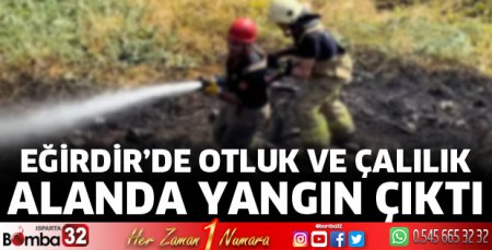 Yangın paniği