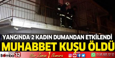 Yangında 2 kadın dumandan etkilendi, muhabbet kuşu öldü