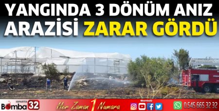 Yangında 3 dönüm anız arazisi zarar gördü