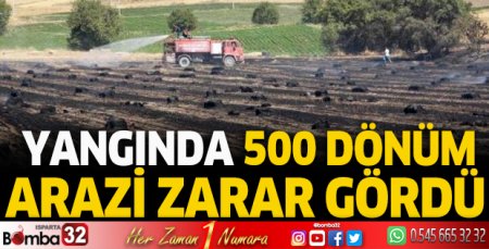 Yangında 500 dönüm arazi zarar gördü