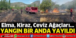 Yangında bahçeler zarar gördü